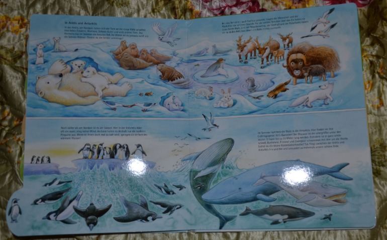 Wimmelbuch.Огромное количество фото