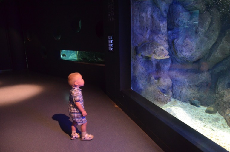 Aquis Zorbas Village и наши поездки по Криту. 2 часть