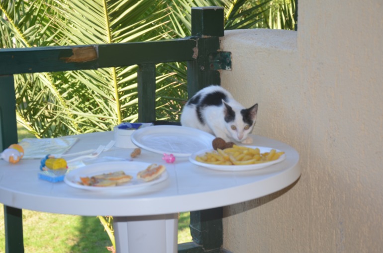 Aquis Zorbas Village и наши поездки по Криту. 2 часть