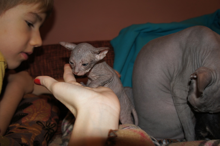 Наше семейство эльфов))))