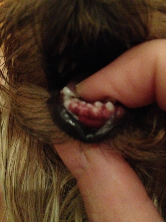 Печальный опыт