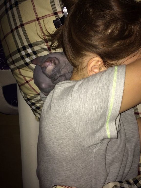 Про наших ушастых деток!)