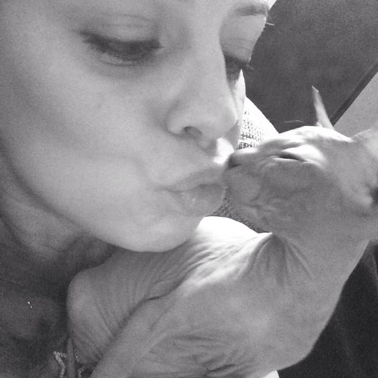 вот и все...отдали последнего котенка-Тигренка((