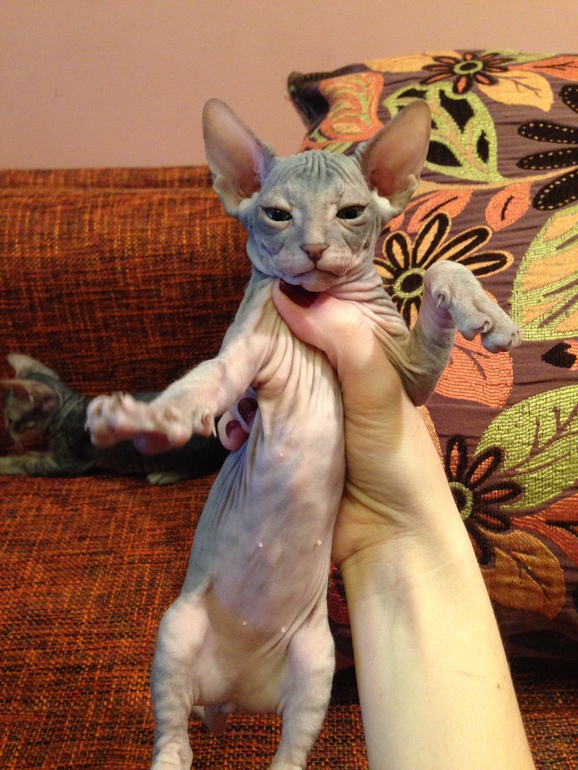 Наши малышастики!!!