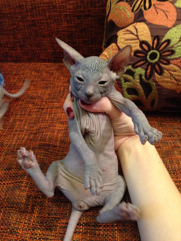 Наши малышастики!!!