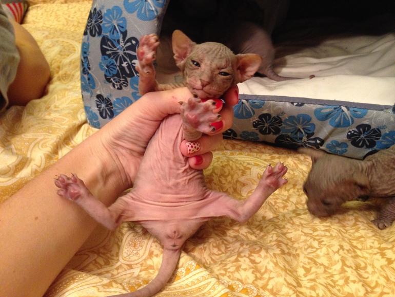 Мой дет.сад))))