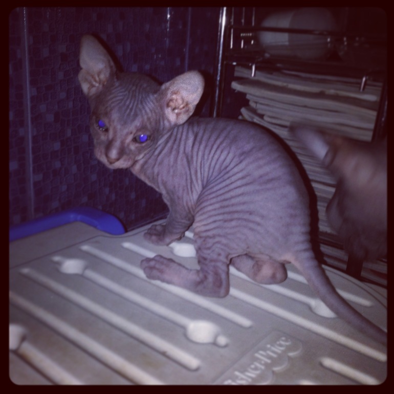 1 месяц ушастикам!!!))