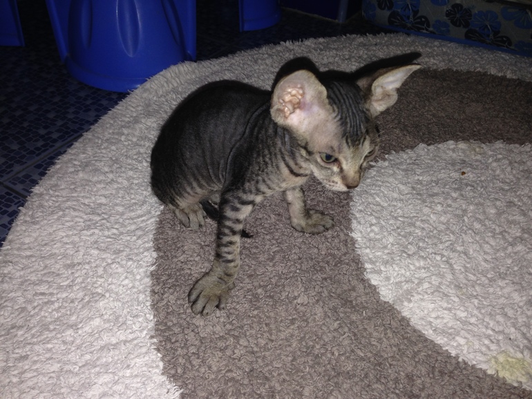 Наши малышастики!!!