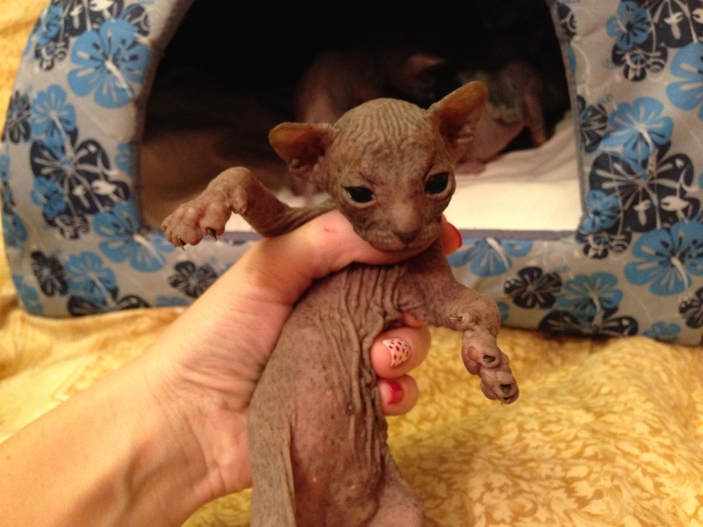 Мой дет.сад))))