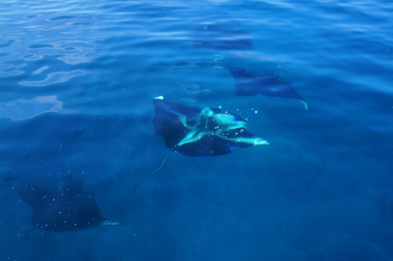 Про Мальдивы с двумя детьми - Часть 2 - Palm Beach Resort