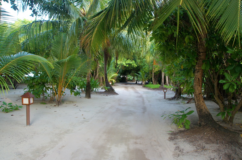 Про Мальдивы с двумя детьми - Часть 2 - Palm Beach Resort