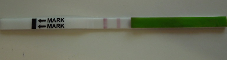 Как овуляция могла быть вчера при таком тесте?