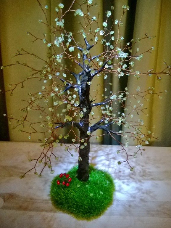 Деревья для души и не только.