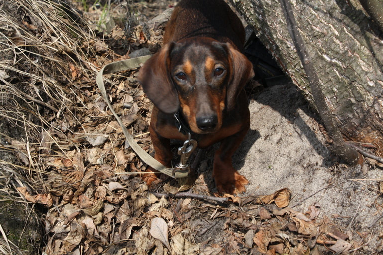 Наша "девушка с характером"!