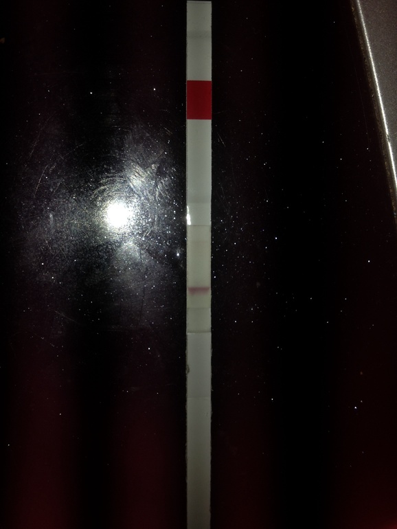 Девочки подскажите есть 2 полоска или нет? Сегодня 10 дпо