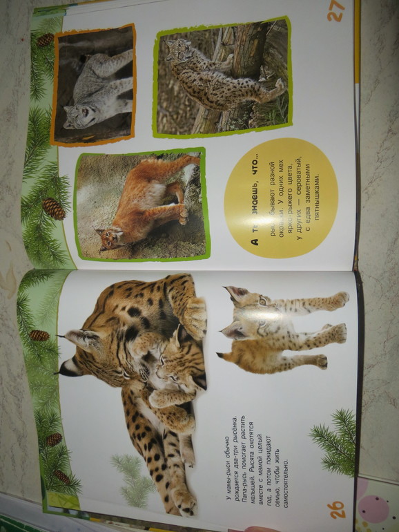 Энциклопедия животных для малышей