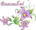 a417b61bb30a2559461cda74c80d5a28.gif