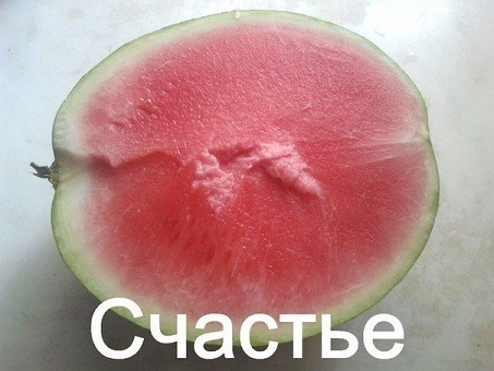 a1304fc92fbe7da3f3d5d86f579a4015.jpg