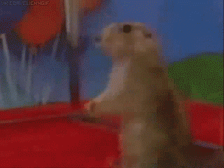 0ffdb743a17f1cbb9107771d696c0541.gif