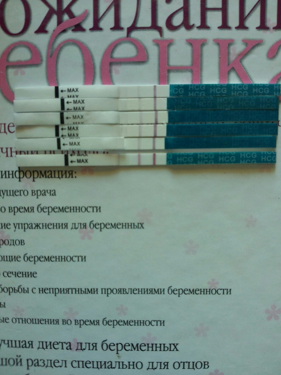 7fc6b8ede8ee7cb3b041472a56195c3e.jpg