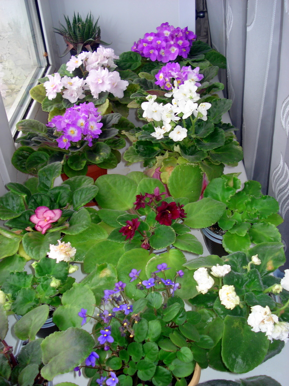 Как и обещала))