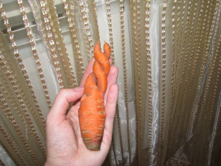 Вот такая Любовь-Морковь)))
