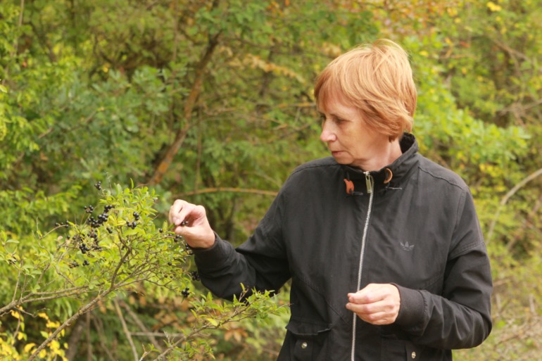 Тур по крыму. Продолжение 3