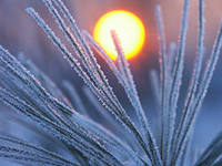 Fly-эстафета на понедельник - 9 декабря