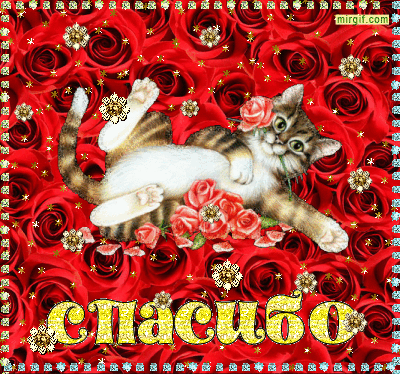 987c5e61fd09a80e6137a8b3946a1db6.gif