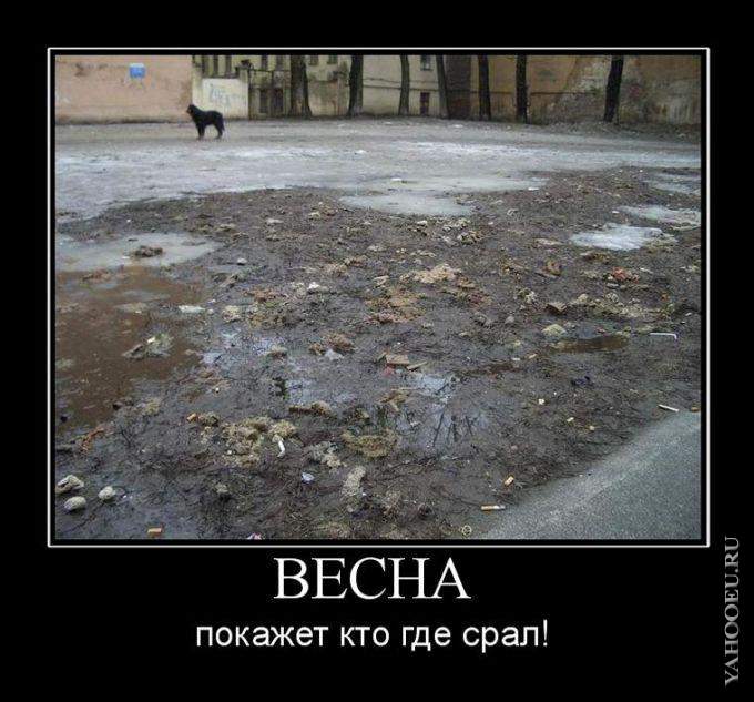 4df3a39b314fd48ec689ba99329e9870.jpg