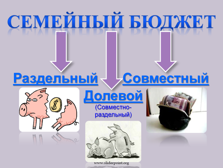 Совместный доход. Типы семейного бюджета. Виды бюджета семьи. Типы семейного бюджета совместный. Совместно раздельный семейный бюджет это.