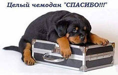 9752e6cb449ad9fa6fd738c7cc46a609.jpg
