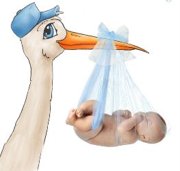 c0bf268c60471c270ac3649f122fe532.jpg