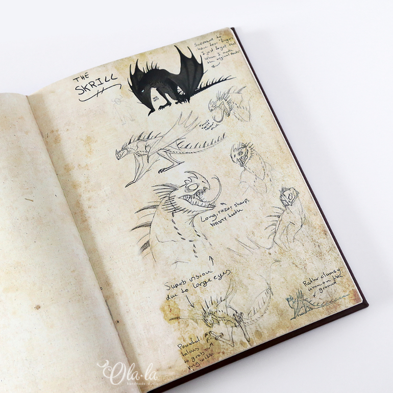 Книга Драконов Картинки