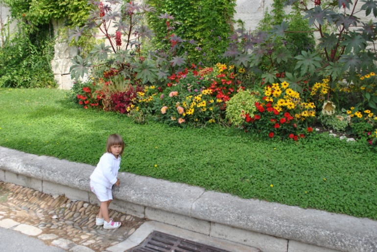 Франция : Авиньон