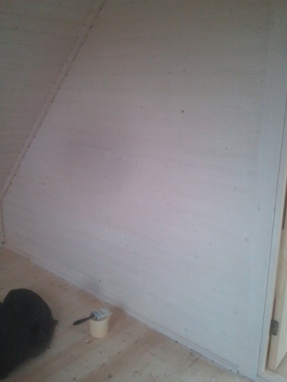 Строительство дачи. Эволюция)