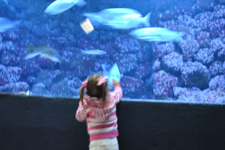 Лангедок - Руссильон. Кап д`Агд. часть 3