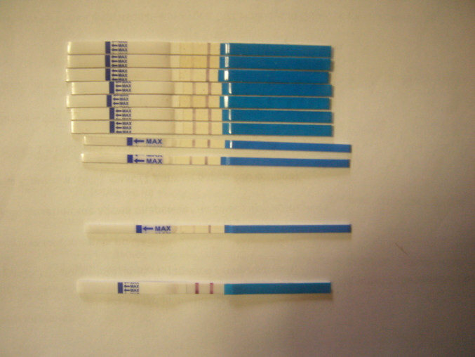 Ловите чих, тесты и фоточки)))