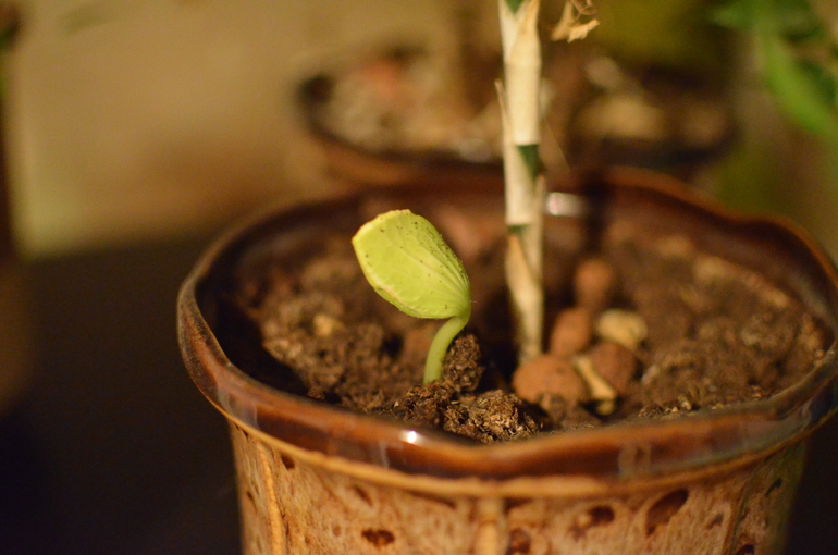 69/6-7 Хот-споты и Готовим одежду