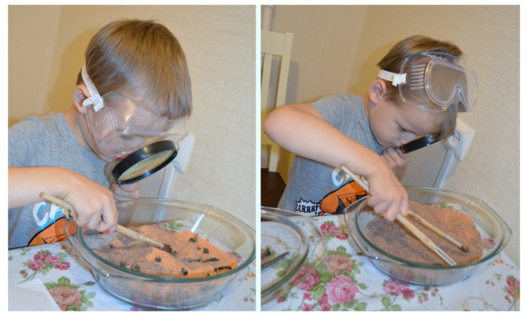 Юный палеонтолог