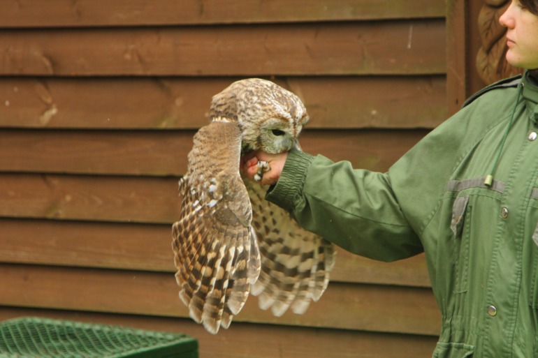 ЭПЦ «Царская пасека»