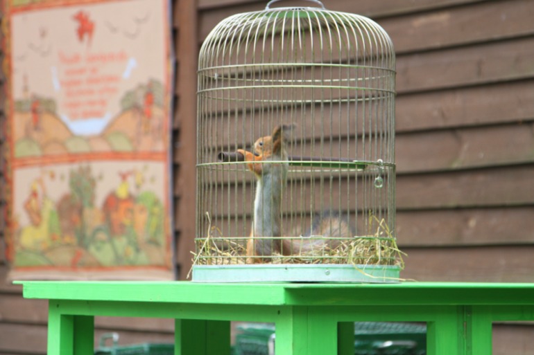 ЭПЦ «Царская пасека»