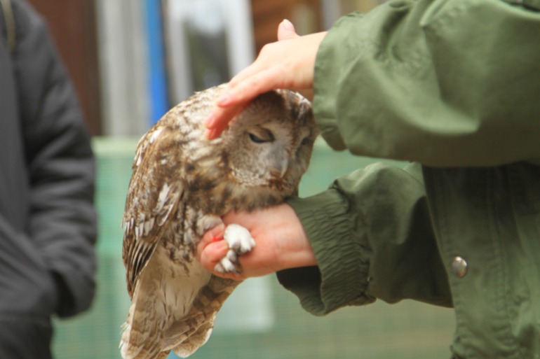 ЭПЦ «Царская пасека»