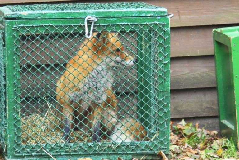 ЭПЦ «Царская пасека»