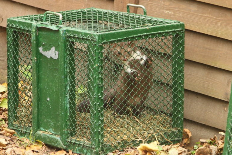 ЭПЦ «Царская пасека»