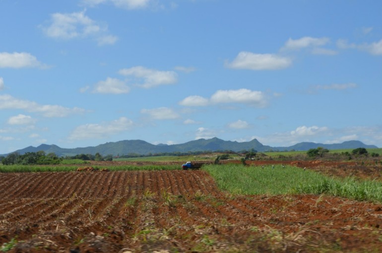 о. Маврикий, отель Constance Belle Mare Plage 5*