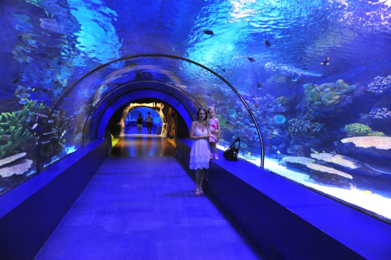 Отдых в Турции. Риксос Сангейт