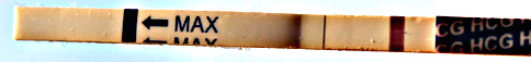 5d55a8a54aede858cc79345fed51ce14.jpg