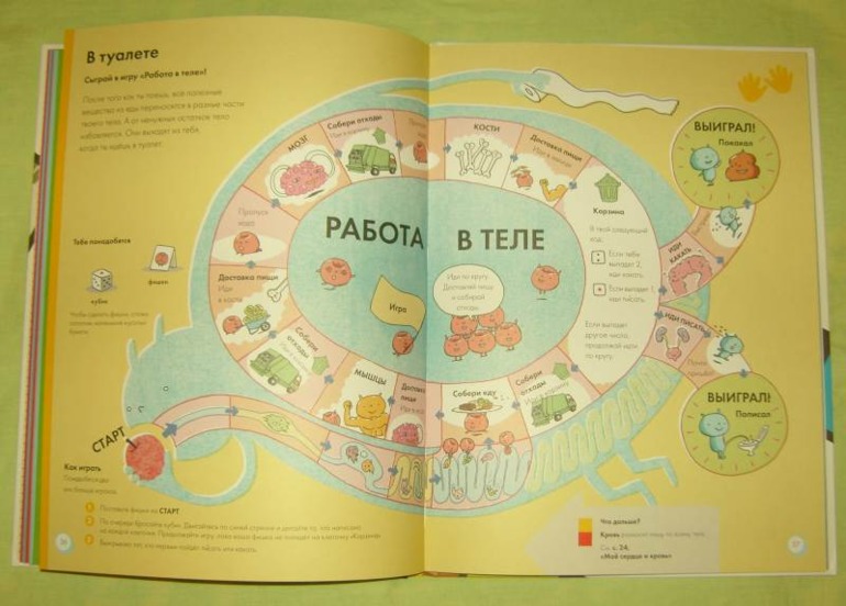 Мое тело.От макушки до пяток