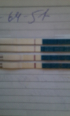 Для сравнения. Разве есть динамика???